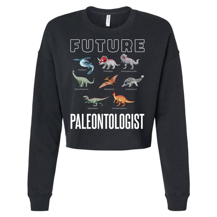 Future Paleontologist Cropped Pullover Crew