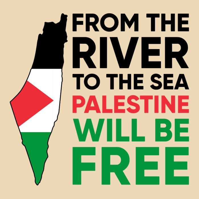 Free Palestine Flag I Stand With Palestine Free Palestine Zip Tote Bag