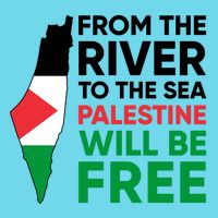 Free Palestine Flag I Stand With Palestine Free Palestine Button