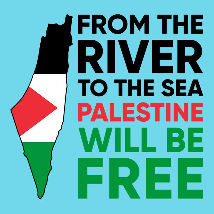 Free Palestine Flag I Stand With Palestine Free Palestine Button