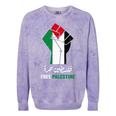 Free Palestine Free Gaza Palestinians lives matter Colorblast Crewneck Sweatshirt