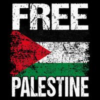 Free Palestine Visor