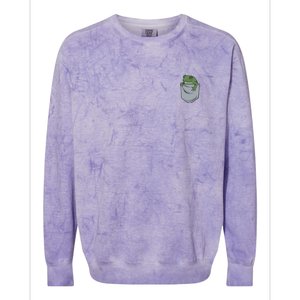 Frog Pocket For A Frog Fan Funny Colorblast Crewneck Sweatshirt