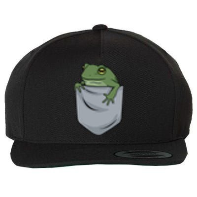 Frog Pocket For A Frog Fan Funny Wool Snapback Cap