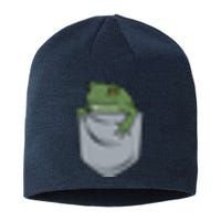 Frog Pocket For A Frog Fan Funny Sustainable Beanie