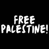 Free Palestine 16 in Basic Backpack