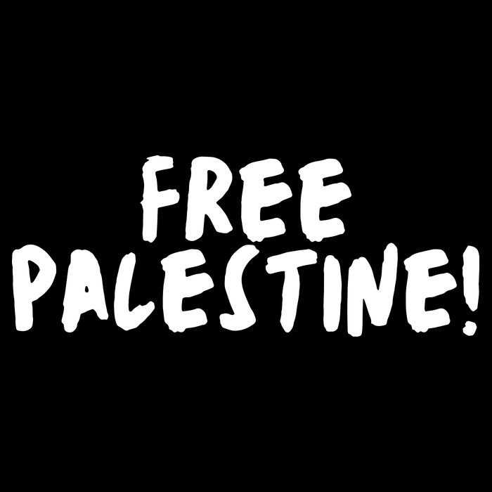 Free Palestine 16 in Basic Backpack