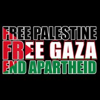 Free Palestine Free Gaza End Apartheid Palestinian Flag 16 in Basic Backpack