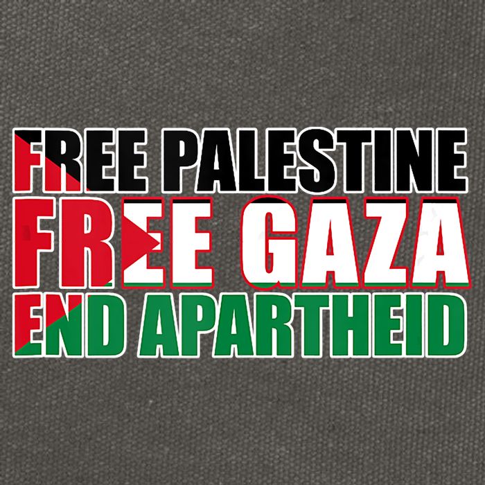 Free Palestine Free Gaza End Apartheid Palestinian Flag Cotton Canvas Backpack