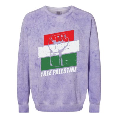 Free Palestine Colorblast Crewneck Sweatshirt