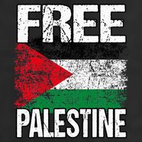 Free Palestine Flag Save Gaza Strip Palestinian 25L Jumbo Tote