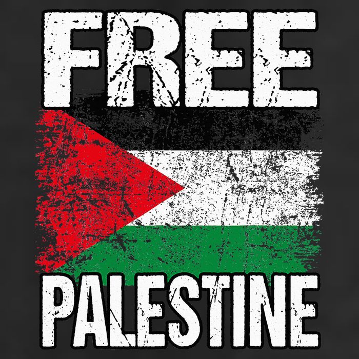 Free Palestine Flag Save Gaza Strip Palestinian 25L Jumbo Tote