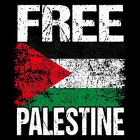 Free Palestine Flag Save Gaza Strip Palestinian Womens T-Shirt