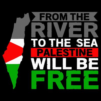 Free Palestine T-Shirt