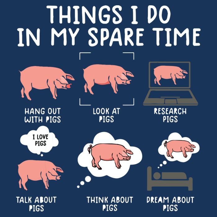 Funny Pig For Men Pig Shirts For Women Pig Tee Farm Sustainable Bucket Hat