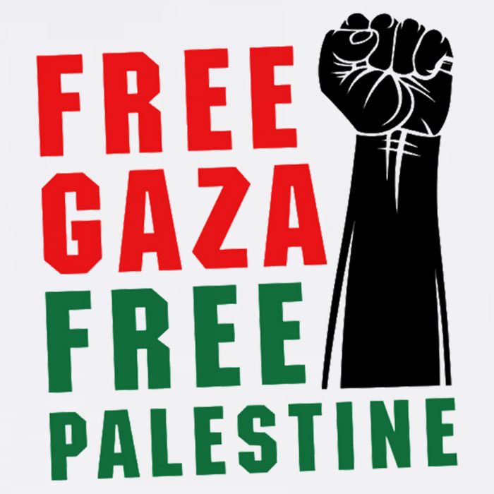 Free Palestine Sustainable Bucket Hat