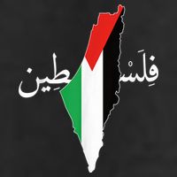 Free Palestine Adult Drive Performance Visor