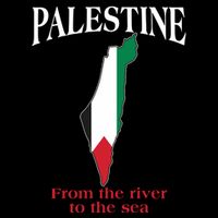 Free Palestine From The River To The Sea Zip Tote Bag