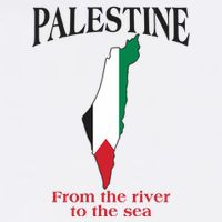 Free Palestine From The River To The Sea Apron