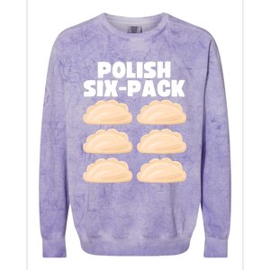 Funny Polish Food Polish Sixgiftpack Pierogi Gift Colorblast Crewneck Sweatshirt