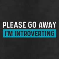 Funny Please Go Away IM Introverting Introversion 7 Panel Mesh Trucker Snapback Hat