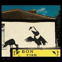Funny Pelican Graphic With Bon Fish - Humorous Design Drawstring Bag