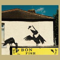 Funny Pelican Graphic With Bon Fish - Humorous Design Button