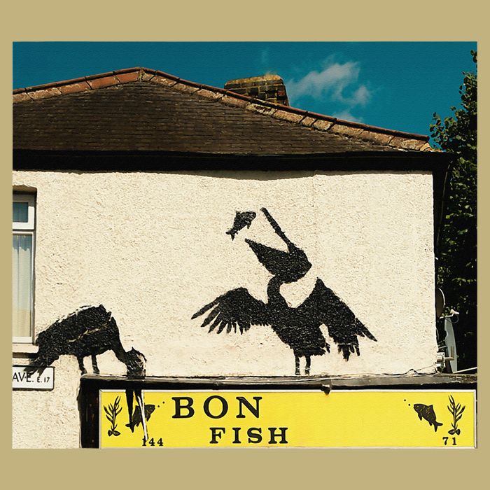 Funny Pelican Graphic With Bon Fish - Humorous Design Button