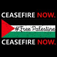 Free Palestine Gaza Jews Say Cease Fire Now Not In Our Name 16 in Basic Backpack