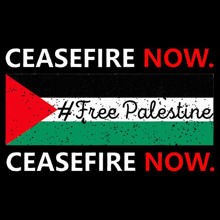 Free Palestine Gaza Jews Say Cease Fire Now Not In Our Name 16 in Basic Backpack