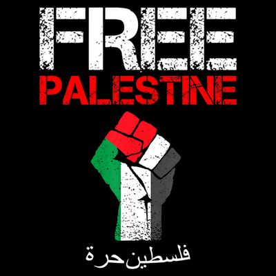 Free Palestine Gaza Palestinian Fist T-Shirt