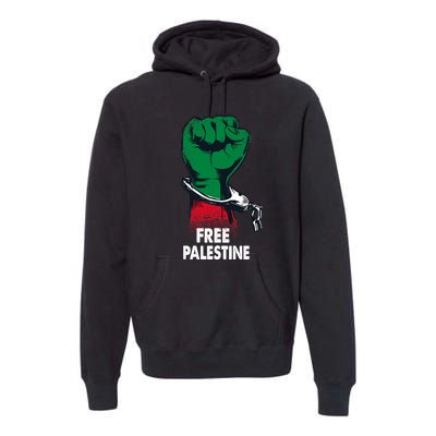 Free Palestine Gaza Palestinian Flag Premium Hoodie