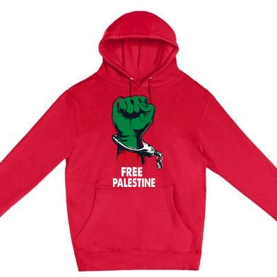 Free Palestine Gaza Palestinian Flag Premium Pullover Hoodie