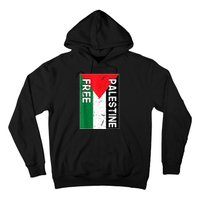 Free Palestine Gaza Palestinian Flag Hoodie