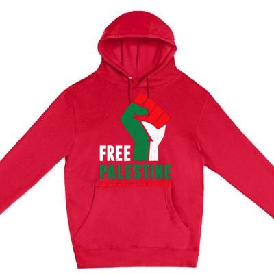 Free Palestine Gaza Freedom End Israeli Occupation Premium Pullover Hoodie