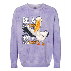 Funny Pelican Gift Be A Pelican Not A Pelican’t Colorblast Crewneck Sweatshirt