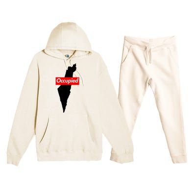 Free Palestine Gaza Palestinian Flag Arabic Premium Hooded Sweatsuit Set