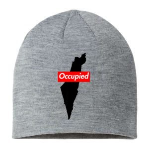 Free Palestine Gaza Palestinian Flag Arabic Sustainable Beanie