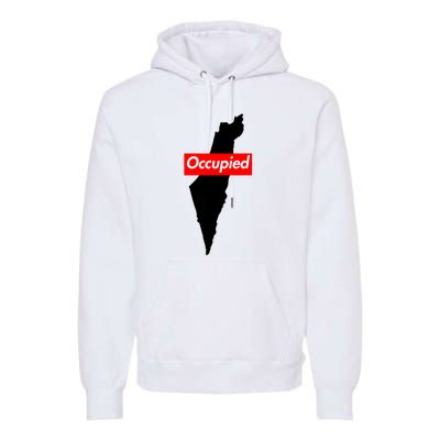 Free Palestine Gaza Palestinian Flag Arabic Premium Hoodie