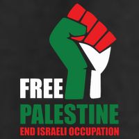 Free Palestine Gaza Freedom End Israeli Occupation 11oz C Handle Ceramic Mug