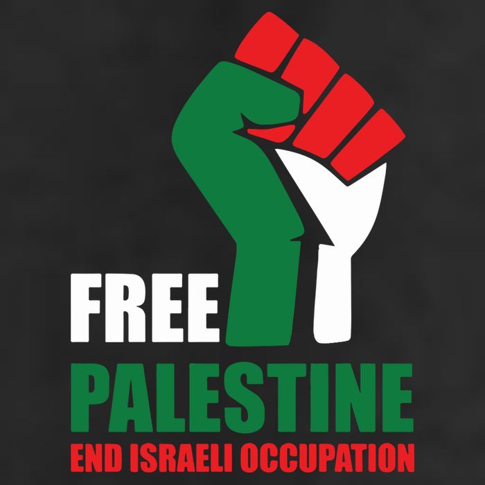 Free Palestine Gaza Freedom End Israeli Occupation 11oz C Handle Ceramic Mug