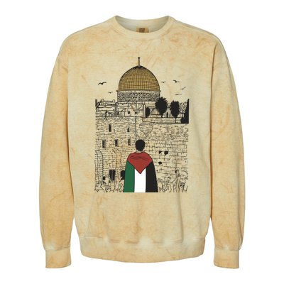 Free Palestine Gaza Palestine Support Colorblast Crewneck Sweatshirt