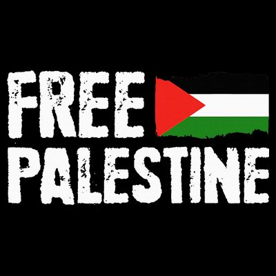 Free Palestine Gaza Flag Arabic Freedom for Palestinians T-Shirt