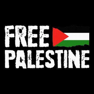 Free Palestine Gaza Flag Arabic Freedom for Palestinians T-Shirt