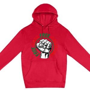 Free Palestine Gaza Flag Freedom for Palestinians Premium Pullover Hoodie