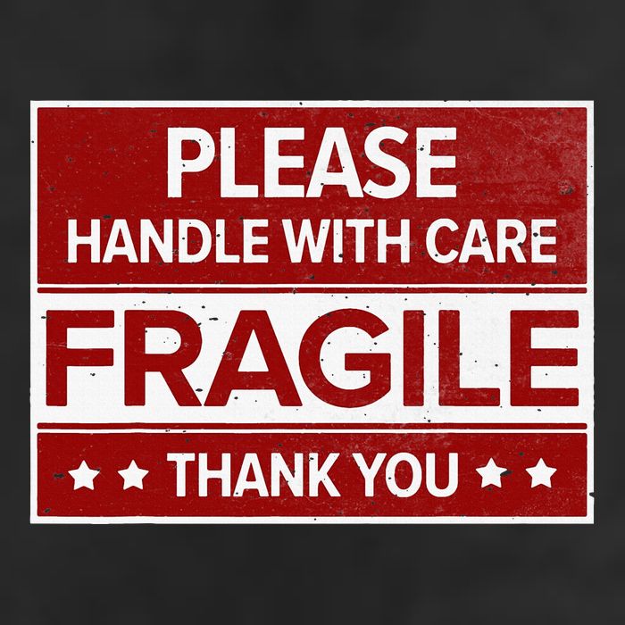 Fragile Please Handle With Care Sensitive Personality 7 Panel Mesh Trucker Snapback Hat