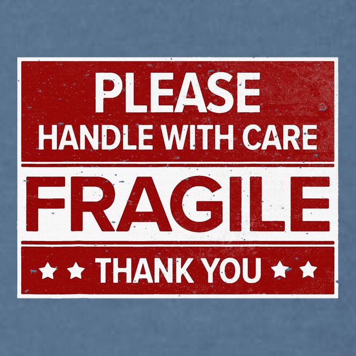 Fragile Please Handle With Care Sensitive Personality Garment-Dyed Sweatshirt