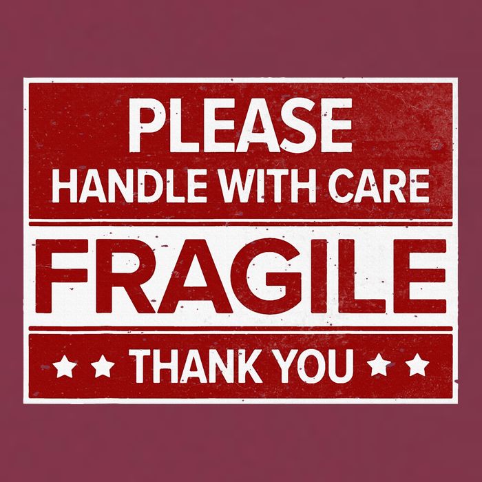 Fragile Please Handle With Care Sensitive Personality 16oz Travel Tumbler