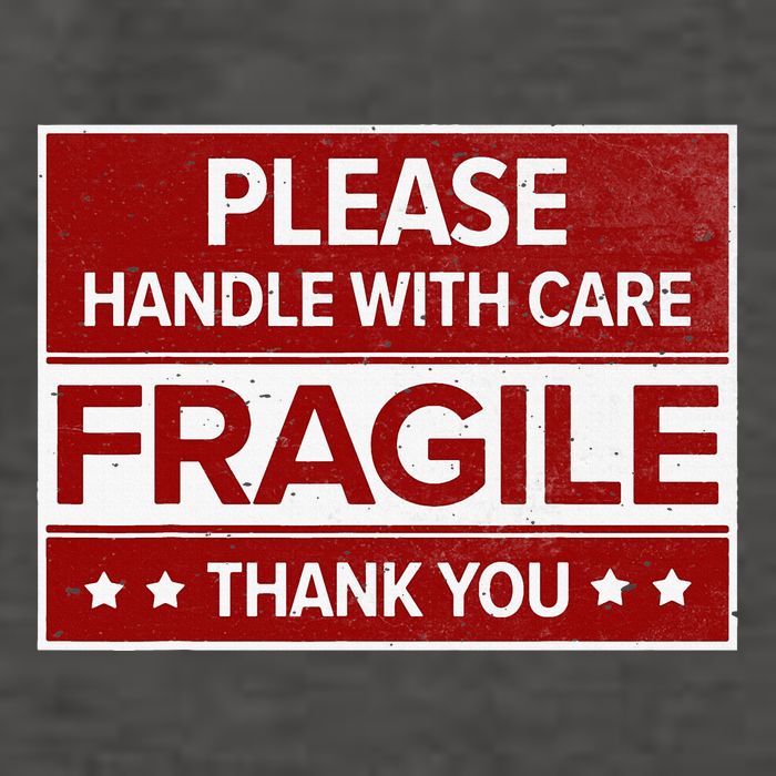 Fragile Please Handle With Care Sensitive Personality Vector Backpack