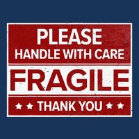 Fragile Please Handle With Care Sensitive Personality Infant Baby Jersey Bodysuit